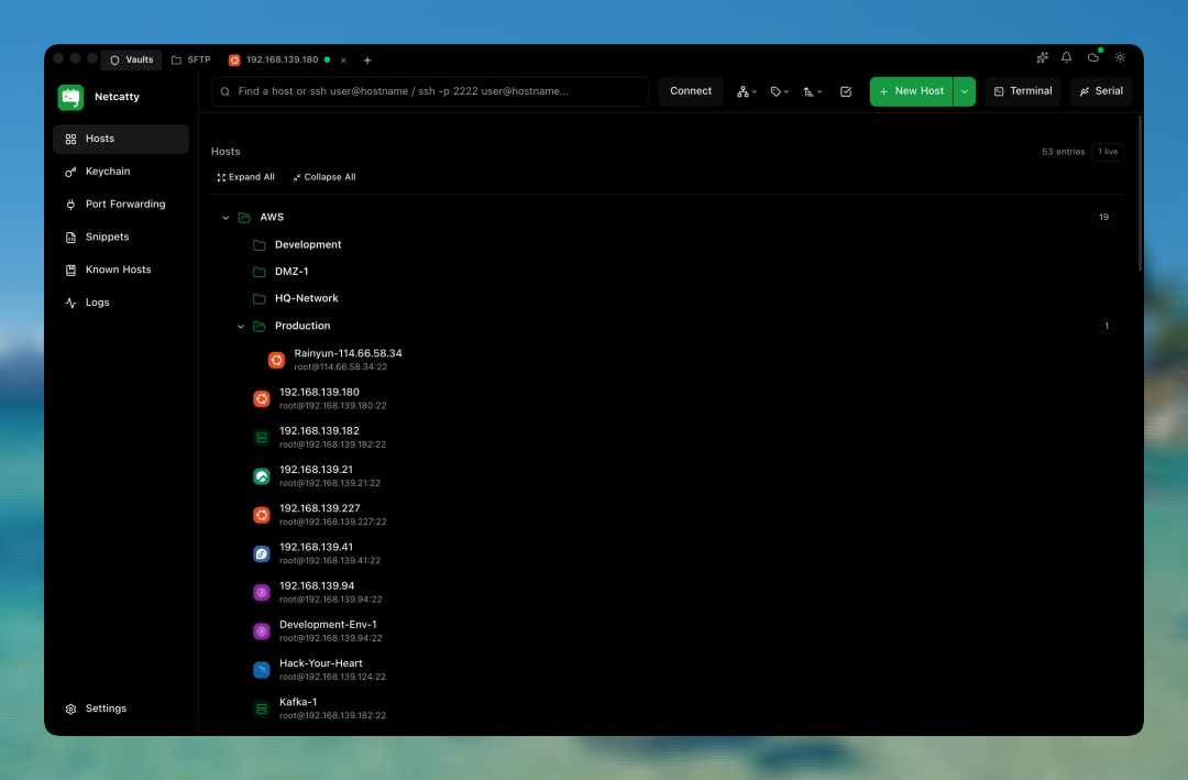 Netcatty Vault树形视图