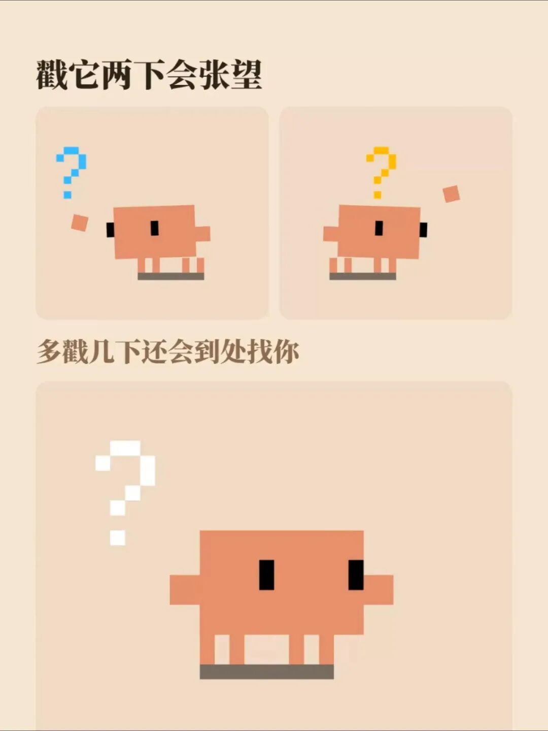 各种表情状态