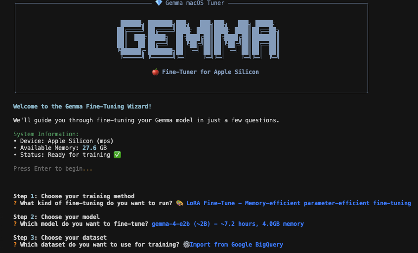 Gemma macOS Tuner wizard: system check, then LoRA / model / dataset steps