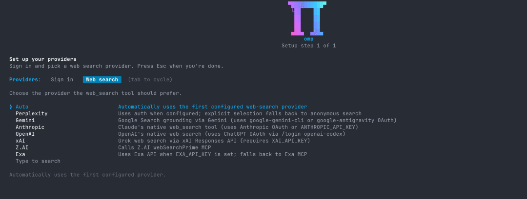 oh-my-pi 第一次启动选择 Web search provider